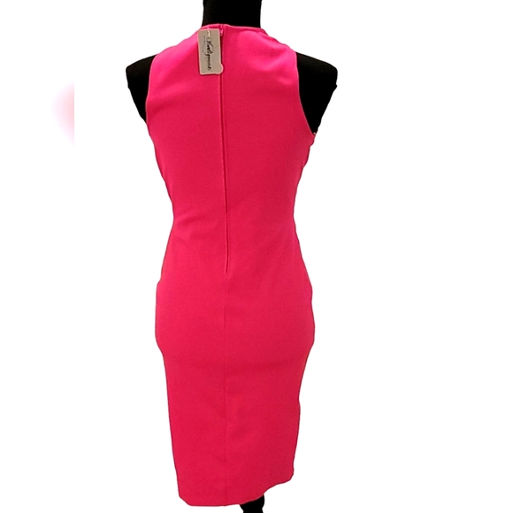 Karlie Kriss Kross Peek A Boo Two-Toned Colorblock Midi Bodycon Dress - Picture 3 of 9